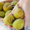 海南鲜无花果  醇厚软糯蜜甜  鲜嫩花香味浓郁 口感层次丰富 商品缩略图5