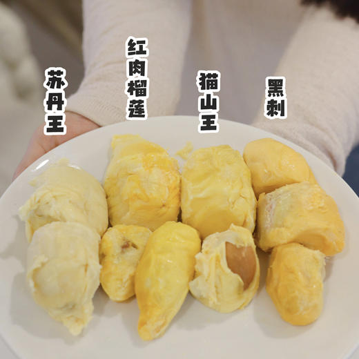 【马来树熟榴莲果肉拼盘 告别开盲盒  尝鲜推荐】黑刺/猫山王/苏丹王/红肉四大名种榴莲  低温速冻 真空锁鲜 商品图1