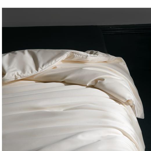 绎生活大豆四季被 | 亲肤透气、四季皆宜、柔软触感、简约舒适 商品图1