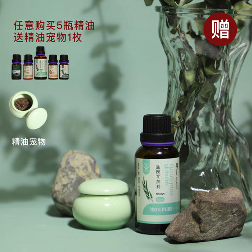 宜铂蓝 植物精油  甜橙/柠檬/大西洋雪松/绿森林/蓝桉尤加利   10ml/瓶、30ml/瓶 商品图0