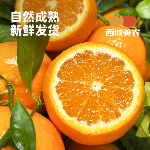 云南高原虎柑4 斤礼盒装  新鲜采摘发货，酸甜汁水足！中通 商品图3