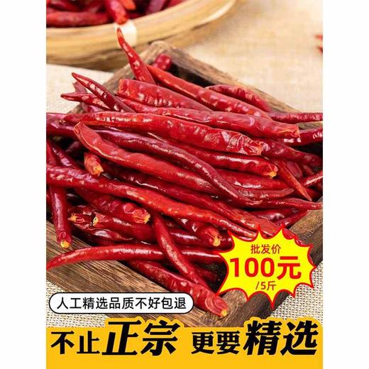 【云南文山产地直采】丘北干辣椒500g中辣特香型火锅炒菜专用调料 商品图3