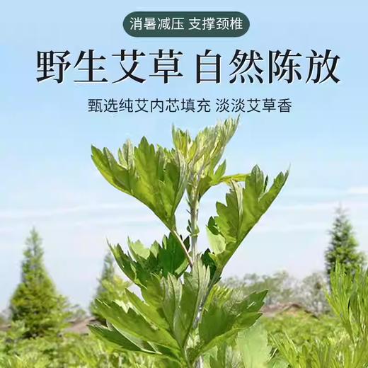 “下单宫廷枕赠柿柿如意艾草锤1个 颜色随机发”miss lolo 宫廷艾草凉席枕/可拆卸枕 凉而不冰 清凉舒爽 商品图6