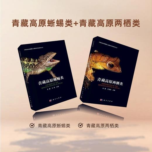 任选：青藏高原两爬三部曲 商品图1