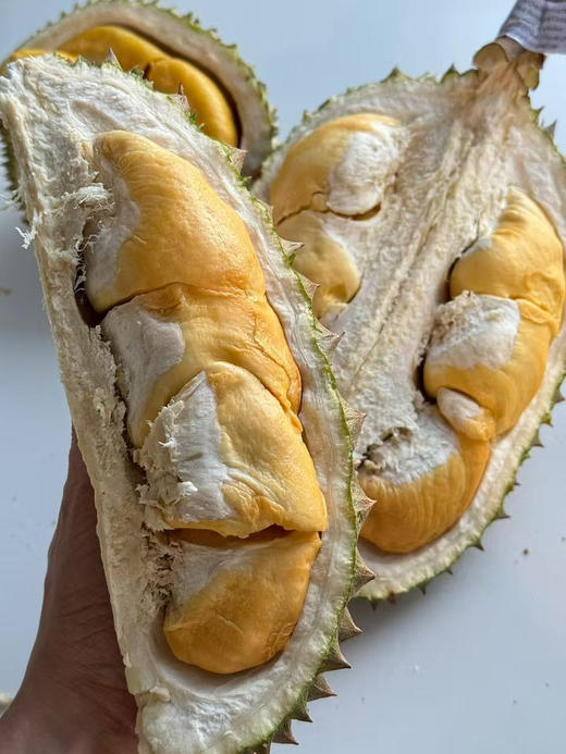 泰国空运小马哥托曼尼榴莲（双A果）（散称39.8/斤 称重补差）（默认剥好） 商品图3