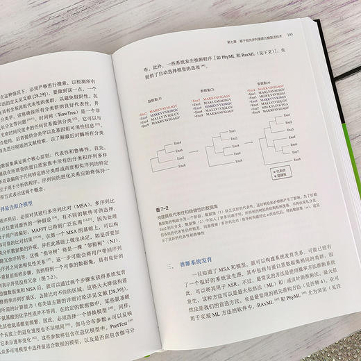 酶工程 : 方法和规程 商品图4