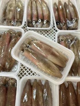 L''东山招牌鲜小管🦑 海里小精灵 鲜度一绝[呲牙]当天现发，包新鲜 活冻