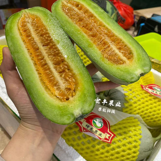 【宏丰精选】 蜜园18号甜瓜 香味浓郁，口感甜，很细腻，活动价‼️12.8一斤 商品图6