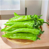 【QT】新鲜 青尖椒 皮薄饱满清脆辣椒炒肉下饭菜 商品缩略图2