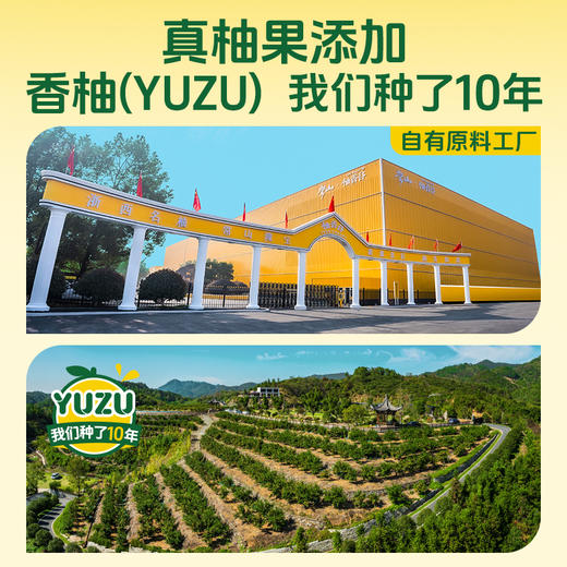 【礼盒装】柚香谷宋柚汁300g*10瓶复合果汁柚子饮料 商品图3