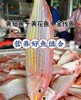 深海鱼组合【黄翅鱼+黄花鱼+金线鱼】肉质鲜美 ，高蛋白，本港靓货现发  【活冻】 商品缩略图0