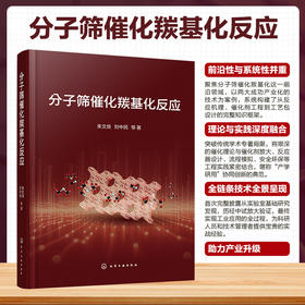 分子筛催化羰基化反应