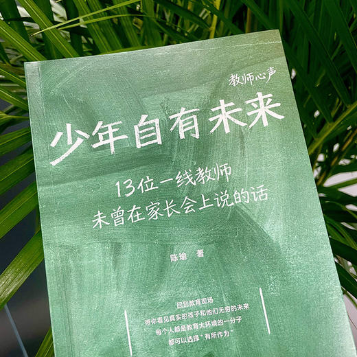 中信出版 | 少年自有未来：13位一线教师访谈实录，20多万字坦诚相告，直面青少年成长困境 商品图2