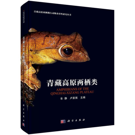 任选：青藏高原两爬三部曲 商品图4