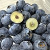【雪吟花香蓝莓】云南高原山地种植，精选新鲜果子，脆甜爆浆，花香味浓郁，满满花青素。净含量125g/盒，江浙沪皖顺丰包邮~ 商品缩略图0