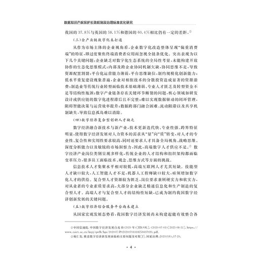 数据知识产权保护长效机制及治理标准优化研究/董玉鹏 著/浙江大学出版社 商品图4