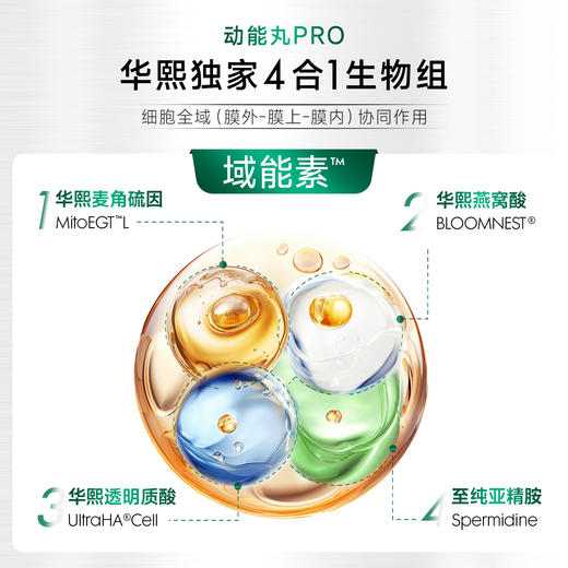 【华熙当康】跨境进口Bloomage Health 动能丸Pro  30粒*1瓶装 商品图4