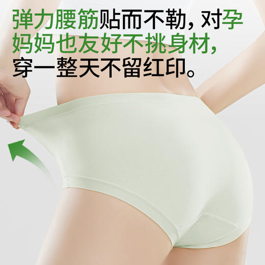 樱姿娜七日鲜内裤|40S莱赛尔面料，100%纯棉加长底裆，软糯舒适 商品图6