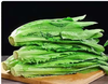 【QT】新鲜油麦菜 蔬菜鲜嫩多汁 商品缩略图2