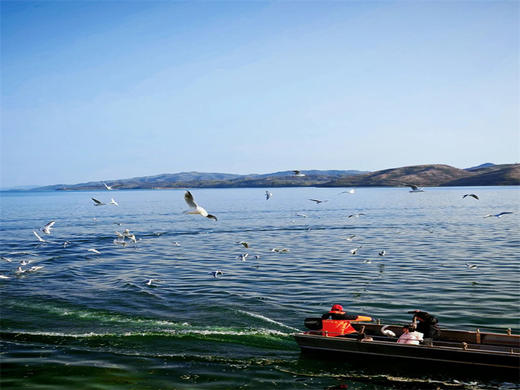 五一2日【太行马尔代夫】｜网红水上公路の保版马尔代夫-九级瀑布-治愈猫村 商品图6