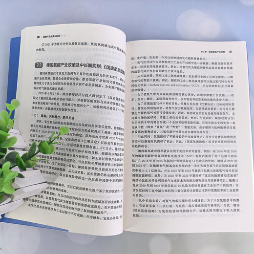 氢能产业政策与标准 商品图3