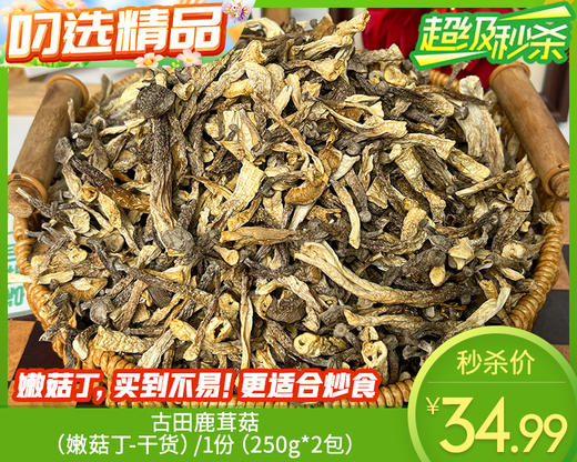 【到手共2包】古田鹿茸菇（嫩菇丁-干货）/1份（250g*2包）生产日期：26年4月 商品图0