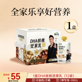 新品 DHA核桃坚果乳 180克/袋  12袋/盒