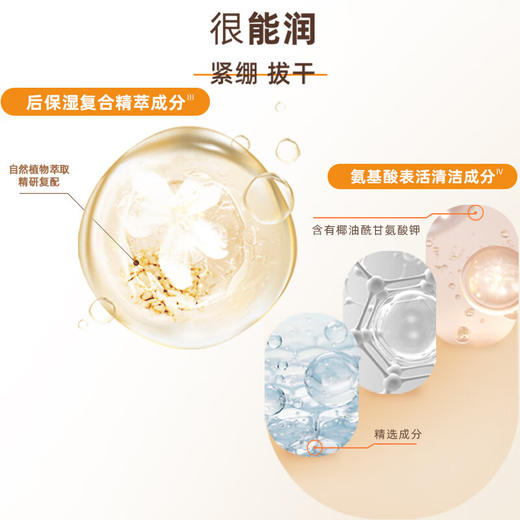 【专柜版】后拱辰享净澈洁面膏180ml 商品图4