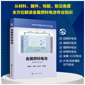 先进电化学能源存储与转化技术丛书--金属燃料电池