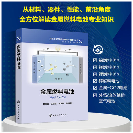 先进电化学能源存储与转化技术丛书--金属燃料电池 商品图0