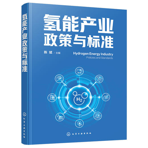 氢能产业政策与标准 商品图1