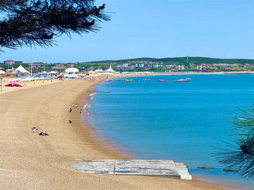 五一5日【大连旅顺】｜大连深度-旅顺蓝眼泪-营口鸟浪-鲅鱼圈-葫芦岛-渤海湾浪漫海岸线 商品图1