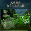 华祥苑-星时光金御水仙礼盒装 商品缩略图4