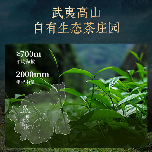 华祥苑-星时光金御水仙礼盒装 商品图4
