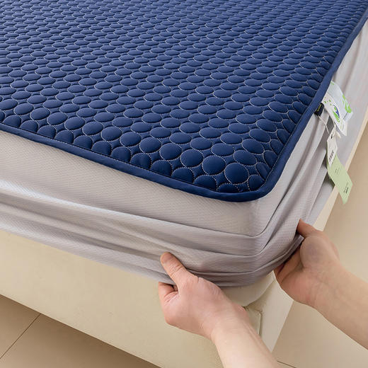 夏季冰感凉席！ROMASTER罗马世家 美学硅胶凉席床笠款3件套 厚实软糯 凉而不冰 6色可选 商品图2