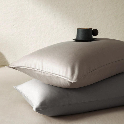 绎生活 天丝棉磨毛枕套一对 | 天丝棉材质、舒适亲肤、信封式设计简约大方、拆洗便捷 商品图2