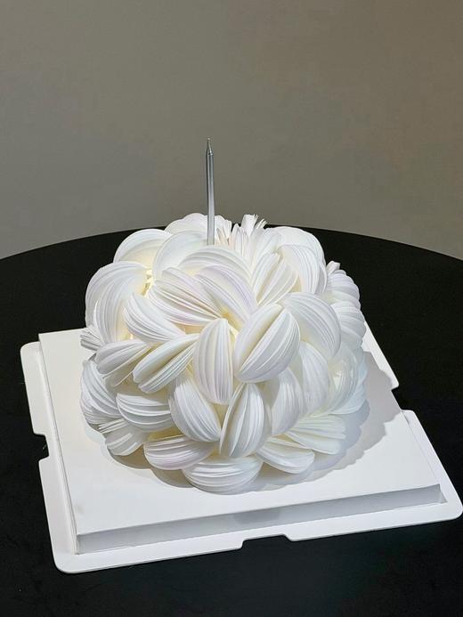 白月光 | 昔果 商品图2