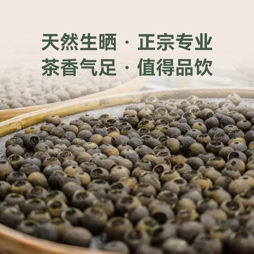头采小青柑茶  ｜新会核心产区茶枝柑+云南普洱 正宗新会老树采摘 柑香千里 茶香满溢双香融合 解腻养生 一颗泡一天 自饮送礼皆宜 商品图5