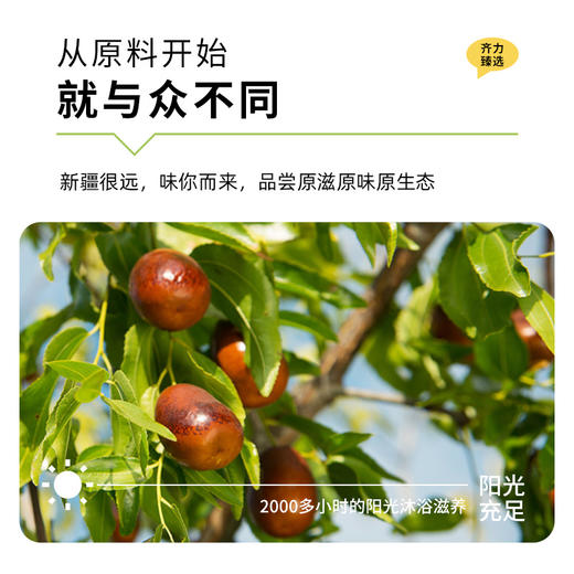 【凤品优选】有机免洗红枣 新疆特产灰枣 泡茶煲汤大枣 零食枣子 商品图3