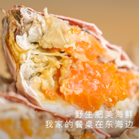 饱记 东海红膏梭子蟹野生肥美鲜顺丰冷鲜发货