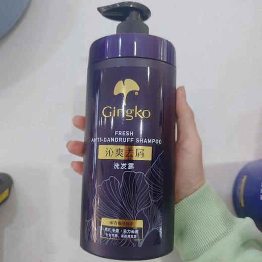 【雅丽洁】银杏草本洗发露800ml 新老包装随机 商品图2