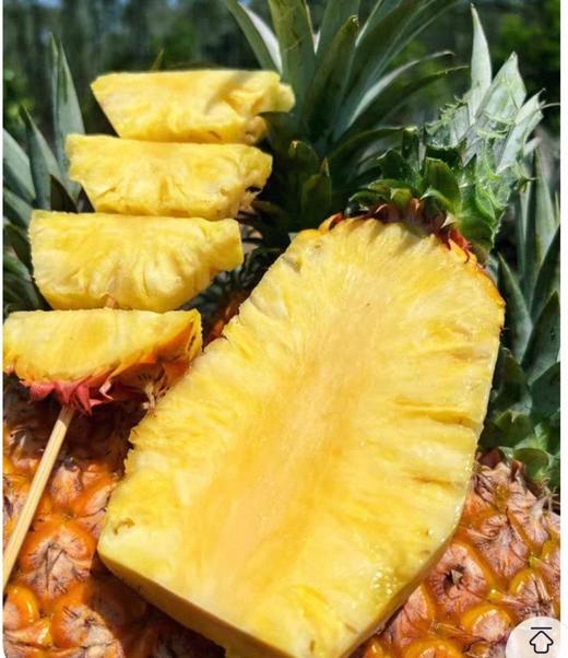 周四取货：【爆糖凤梨】一个2.8斤左右，凤梨香浓郁，多汁无渣，香甜不涩嘴！ 商品图0