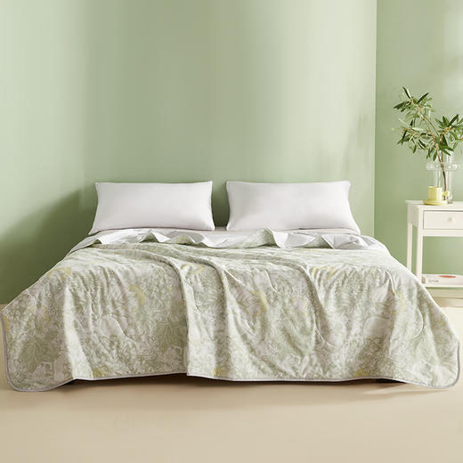 绎生活 夏日果实全棉夏被 | 自然绵柔触感、手绘花型、营造清新森系氛围、柔软亲肤、透气舒适 商品图1