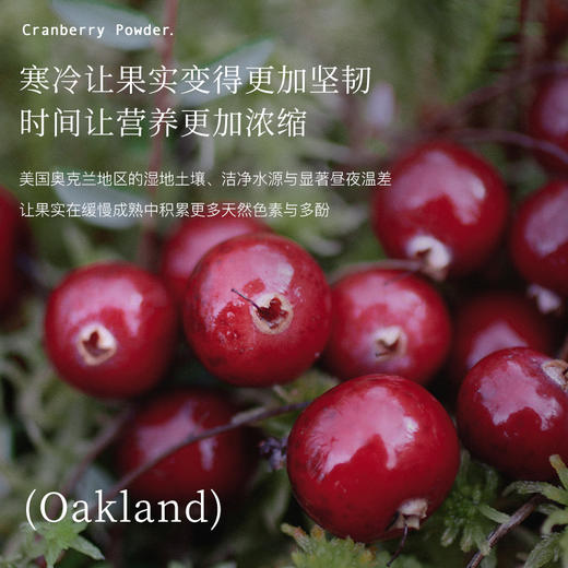 🔥品牌直发❗「Blackwood蔓越莓粉｜女性内服宝藏！素颜好气色神器✨」 商品图1