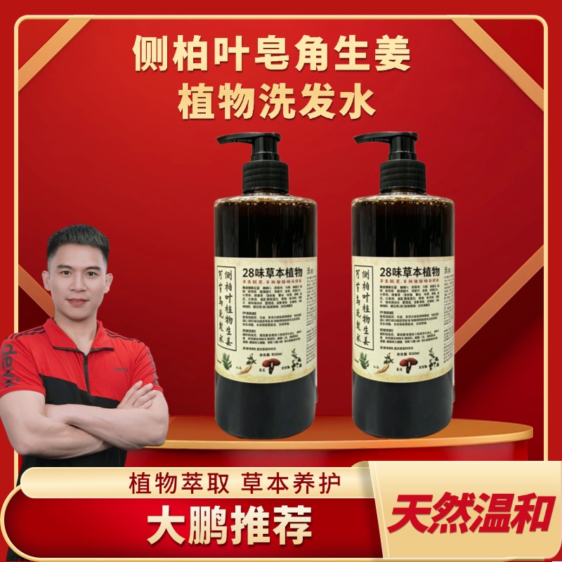 【大鹏】侧柏叶皂角生姜植物洗发水无硅油控油去屑 2瓶装