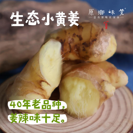 生态小黄姜（成都仓库-顺丰包邮 ）｜2斤/箱，来自四川峨眉山，生产者：张书华【合作生产，公平贸易】 商品图0