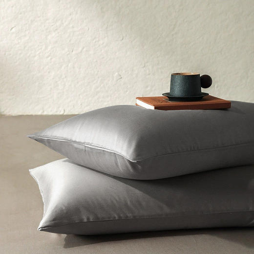 绎生活 天丝棉磨毛枕套一对 | 天丝棉材质、舒适亲肤、信封式设计简约大方、拆洗便捷 商品图1