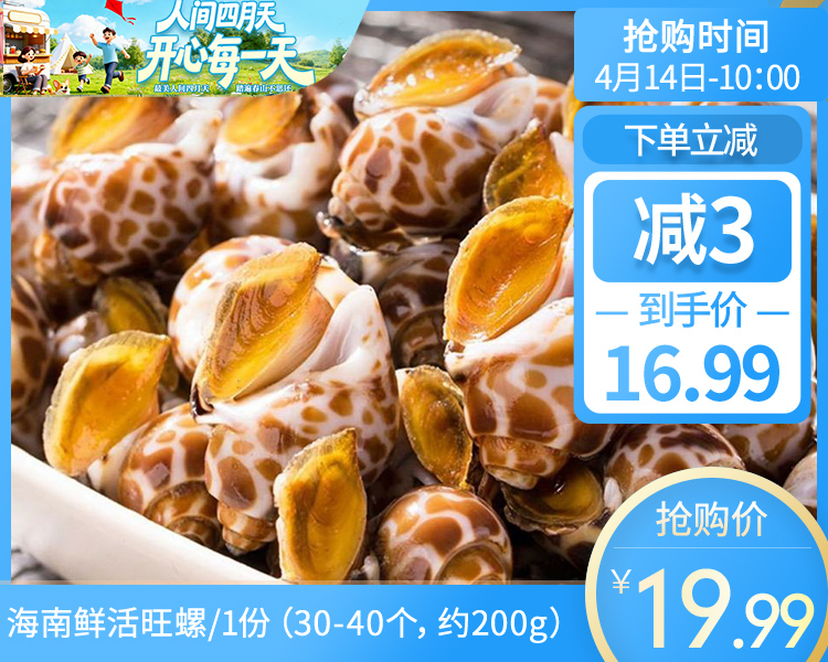 【叼鲜】海南鲜活旺螺/1份（30-40个，约200g）