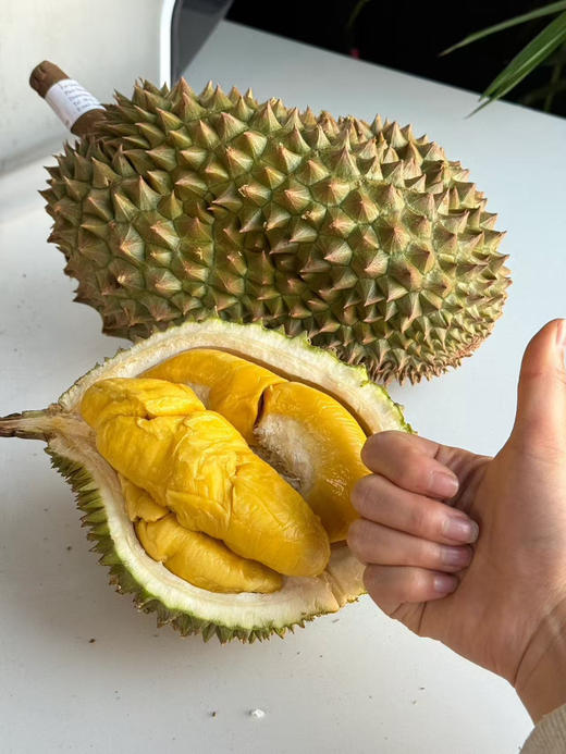 泰国空运小马哥托曼尼榴莲（双A果）（散称39.8/斤 称重补差）（默认剥好） 商品图2