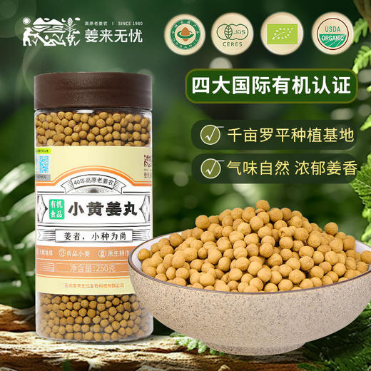 【姜来无忧有机罗平小黄姜丸】 中国地理🌍标志产品 真有机，香味浓、辣味足、营养价值翻倍！ 商品图0